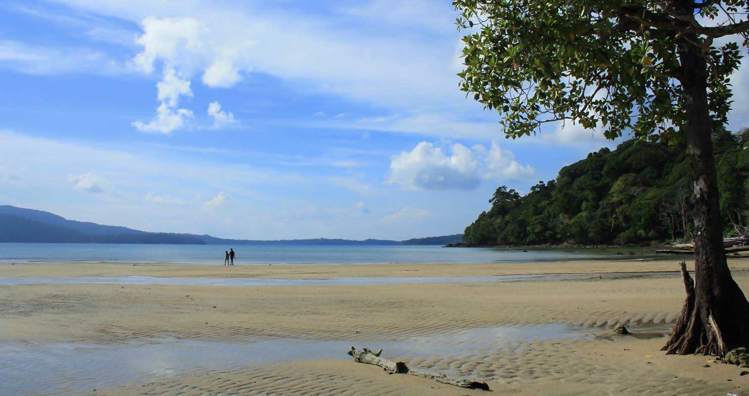 One of the beaches at Andaman & Nicobar Islands